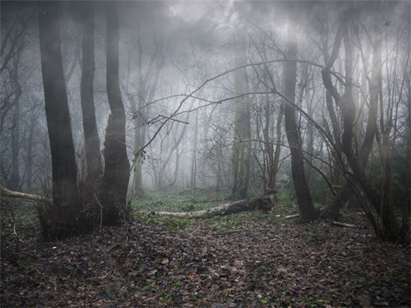 奥特朗托堡主要内容,奥特朗托城堡内容简介