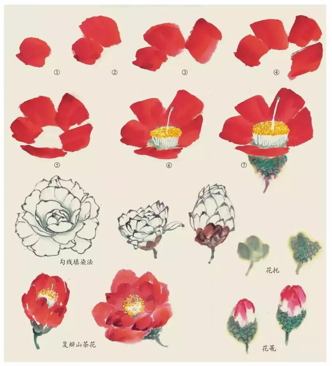 国画中各种花卉的画法,国画花卉画法步骤视频教程