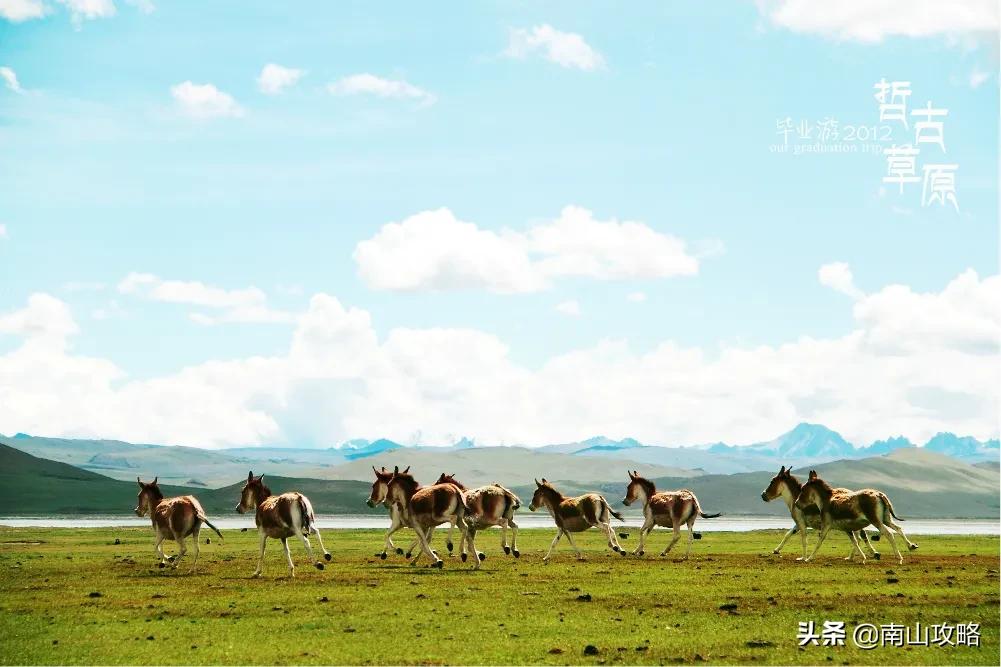 8月避暑推荐 (七月避暑人少的地方)