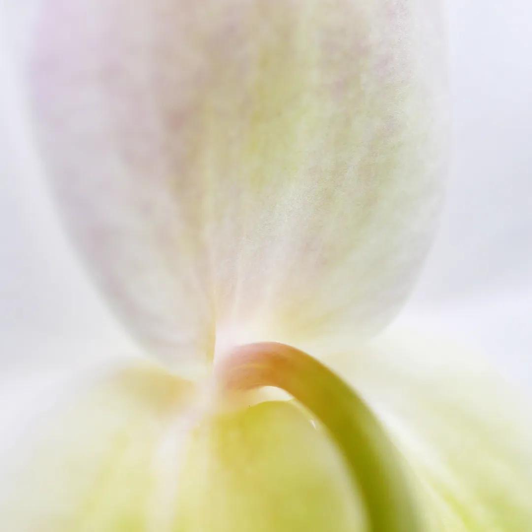 香港第14届全国摄影艺术展,第29届全国摄影艺术展览获奖名单