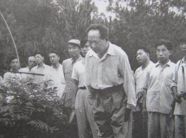 文七妹：仅留唯一合照，临终念叨石三伢子，毛*东泽**含泪写下祭母文