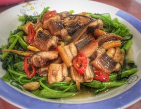 水空心菜江西苗,水空心菜苗四川