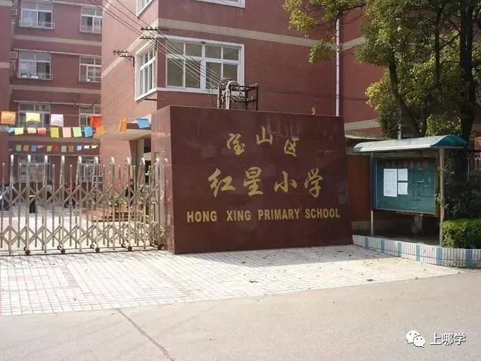 潜力股！上海16区黑马公办小学PK！谁会是下一个明珠、向阳？