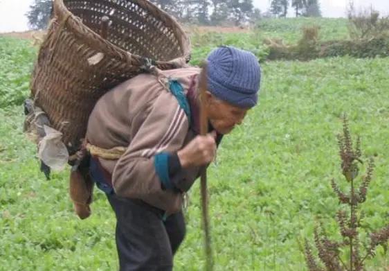 农村兄弟不和的原因有哪些,农村兄弟之间的关系