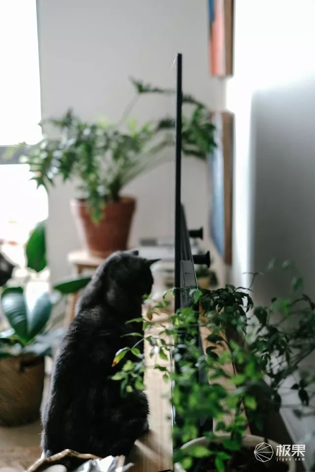 飞利浦55puf6263t3电视,堪比ipad的平板