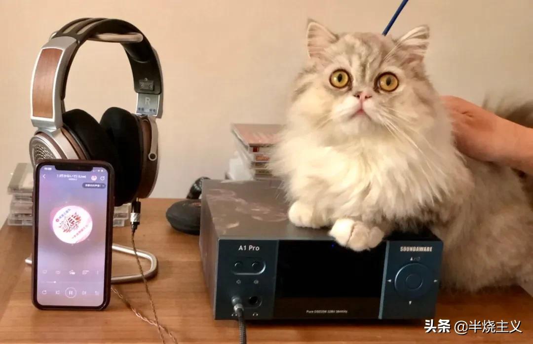 华晨宇天籁之战玉置浩二,华晨宇模仿米津玄师高音