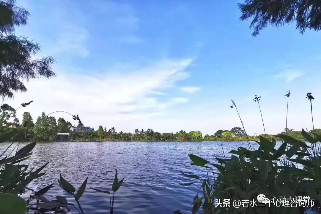 做自己心灵的主人：抑郁症的自我疗愈