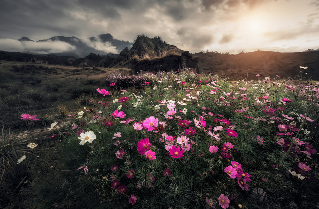 做人谨记：不愿同甘，谁肯跟你共苦？建议关注收藏