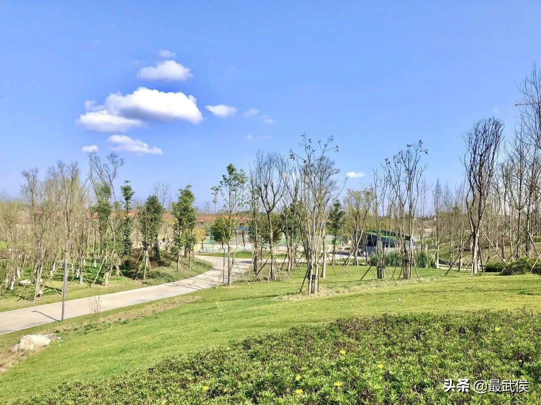 西双版纳热带雨林公园,西双版纳雨林热带公园