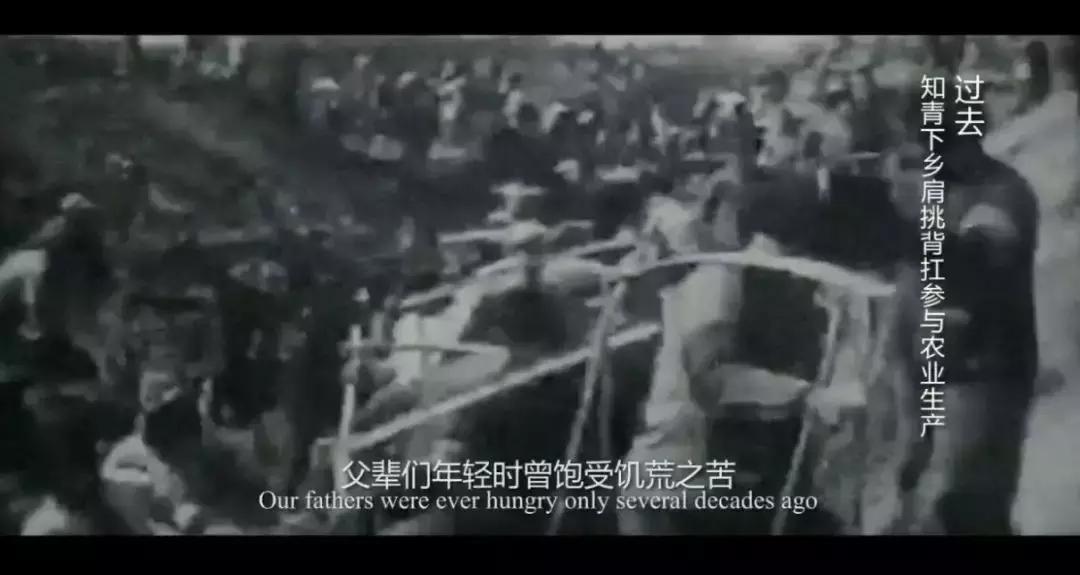 一本笔记本，记录了女高中生和男生的“第一次”到“最后一次