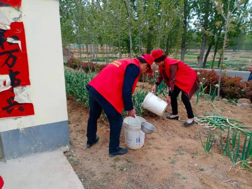 党员志愿服务活动4月,4月份党员开展志愿服务活动内容