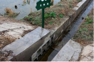 青蛙住“宾馆”，农田会呼吸，这个村发生了啥？