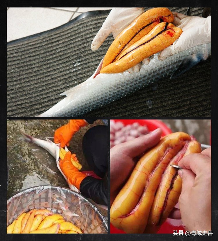 补钙补锌促发育,儿童生长缓慢什么食物补钙最好