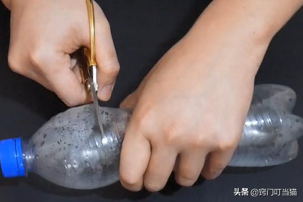 无毒灭老鼠的最佳方法,灭老鼠的1000个方法