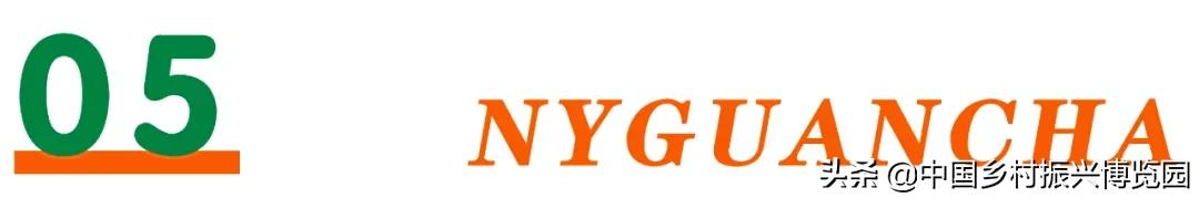 乡村振兴产业方面存在的问题,乡村数字化建设赋能产业振兴