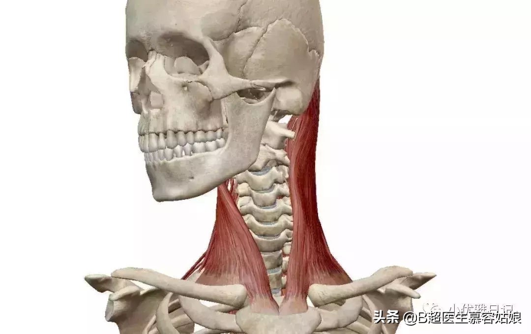 宝宝老是歪头后仰头,宝宝歪脖歪头怎么办