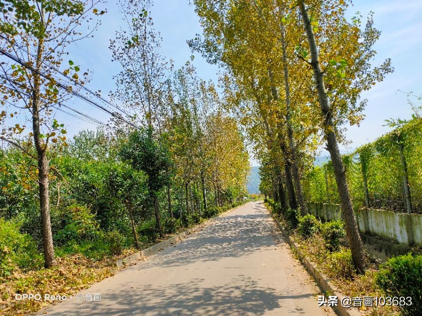 美丽的营头镇,我童年的天堂