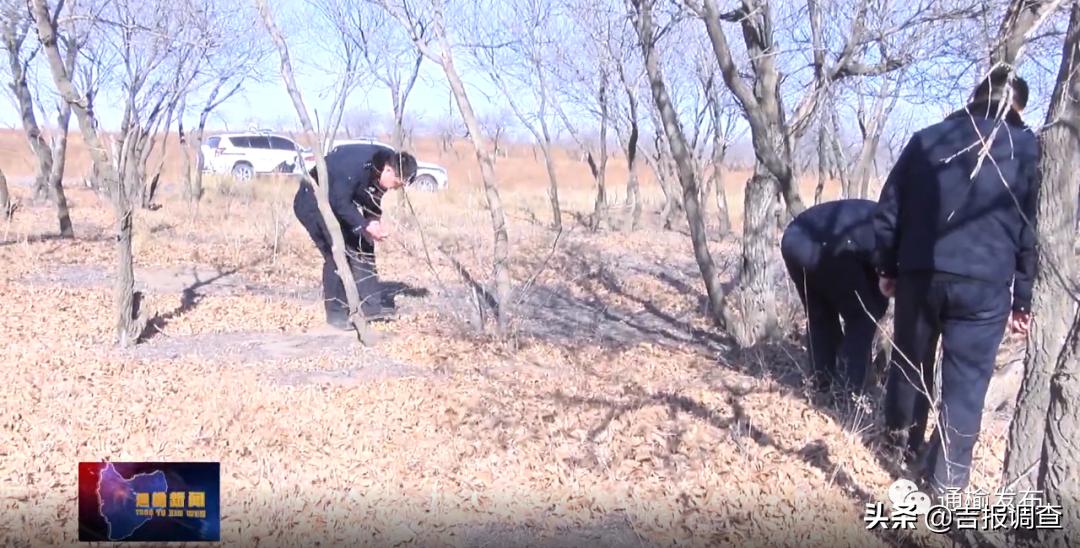 吉林省向海森林公安,向海自然保护区森林警察