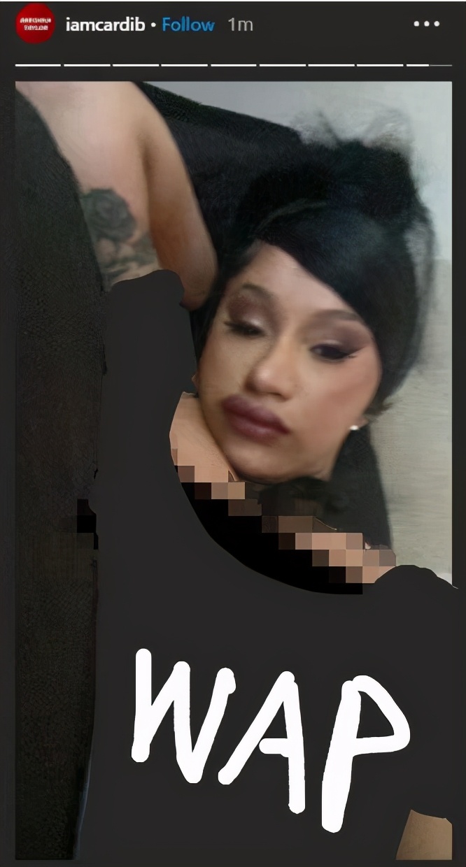 水果姐为什么被骂,卡迪碧孕照