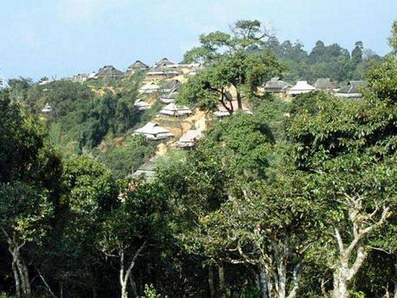 云南普洱茶区六大茶区,普洱茶茶区详细分布图