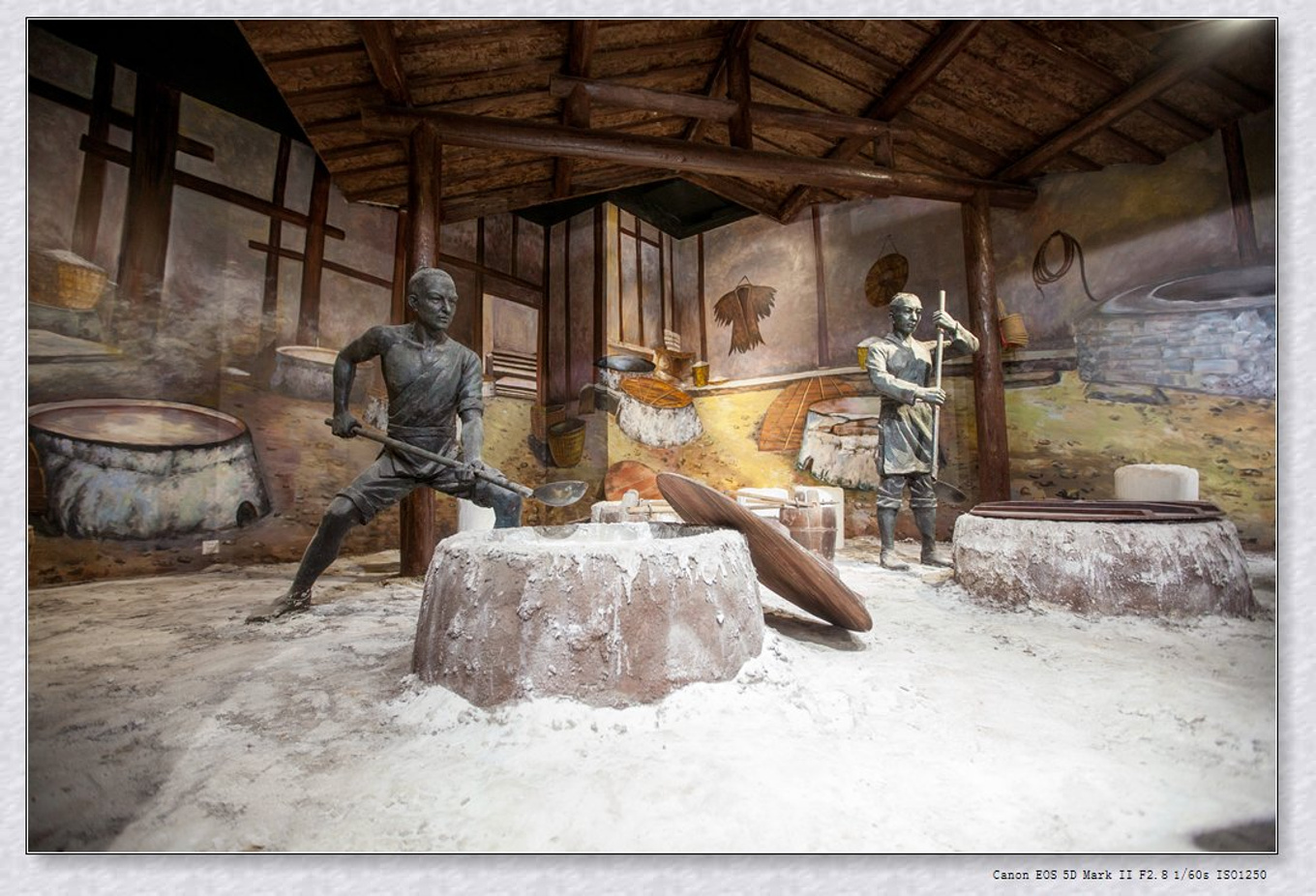 常州旅游东方盐湖城,骆驼之旅视频