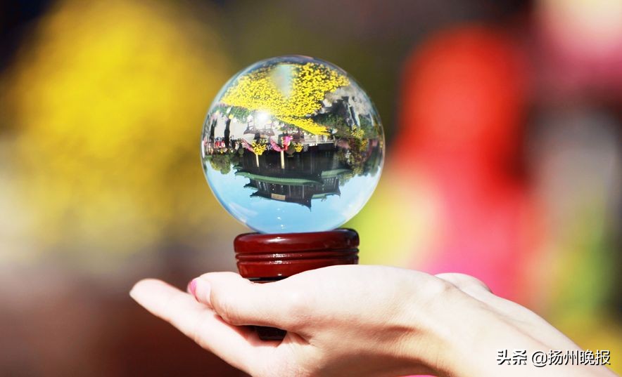 2018年冬天扬州赏花攻略,扬州11月秋景打卡地