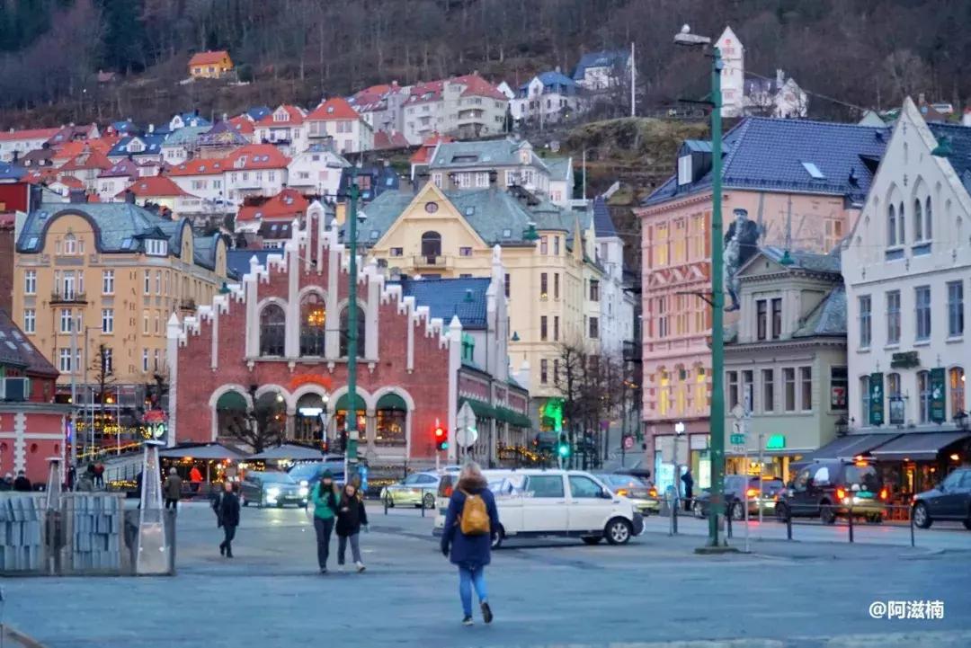 为了吃最贵的鱼你们会驱车多远,世界上最难吃的鱼青花鱼