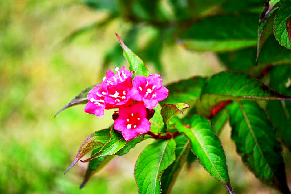 写进心坎的说说短句句句穿透人心,触及心灵的经典说说