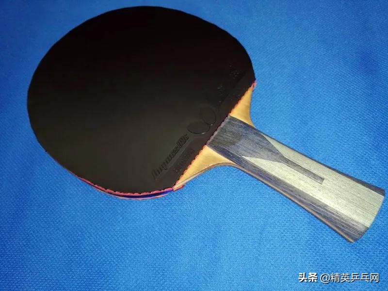 蝴蝶d09c套胶适合业余选手吗,精英聊器材视频