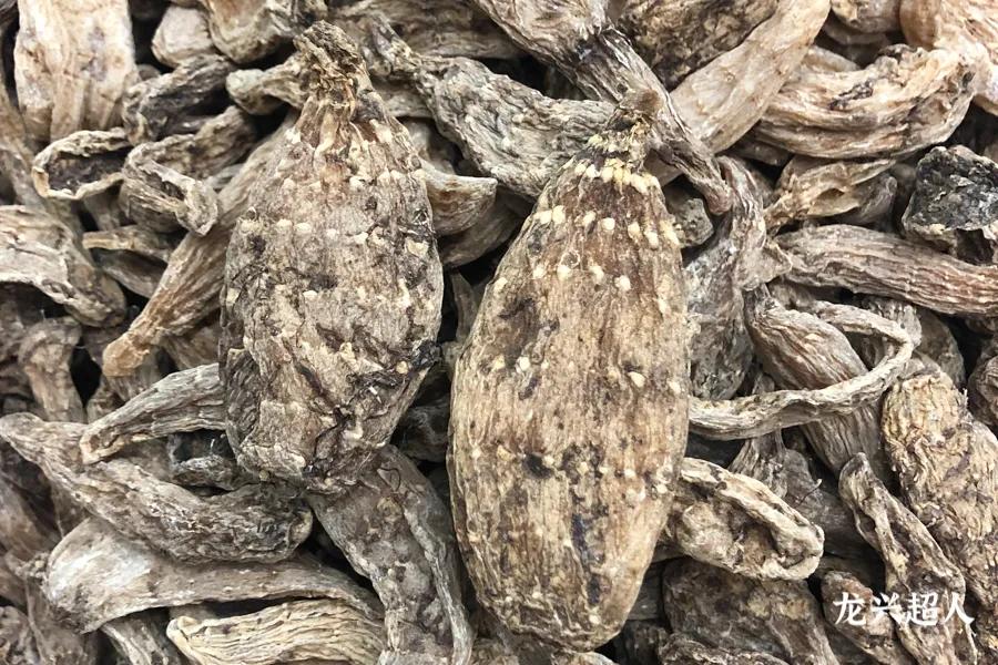 贵州道地药材天麻,道地药材天麻之乡