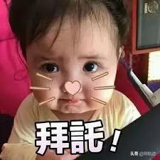 看完小奶狗和直男在恋爱中不同的说话模式,我选择单身?