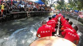 中国佛山龙船漂移,学习强国龙舟快闪