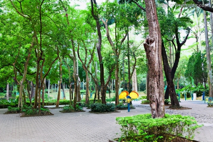 深圳荔枝公园跑步一圈有多长,目前深圳有哪些地方适合跑步