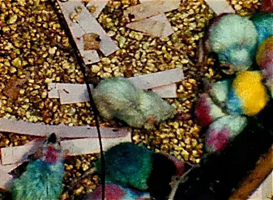 性冷淡性变态！性萧条时代来临！这场暗黑实验，解释社会矛盾