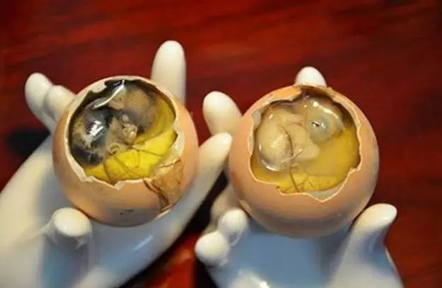 臭屁虫卖到450元一斤,臭屁虫能卖多少一斤