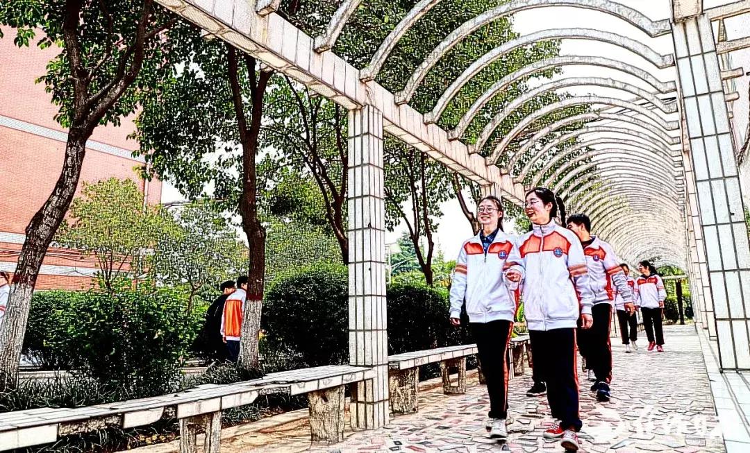 焦作市第四中学龙翔校区,焦作市第四中学哪个区