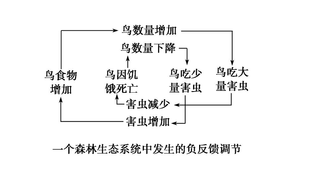 大黄蜂入侵,大黄蜂入侵法国