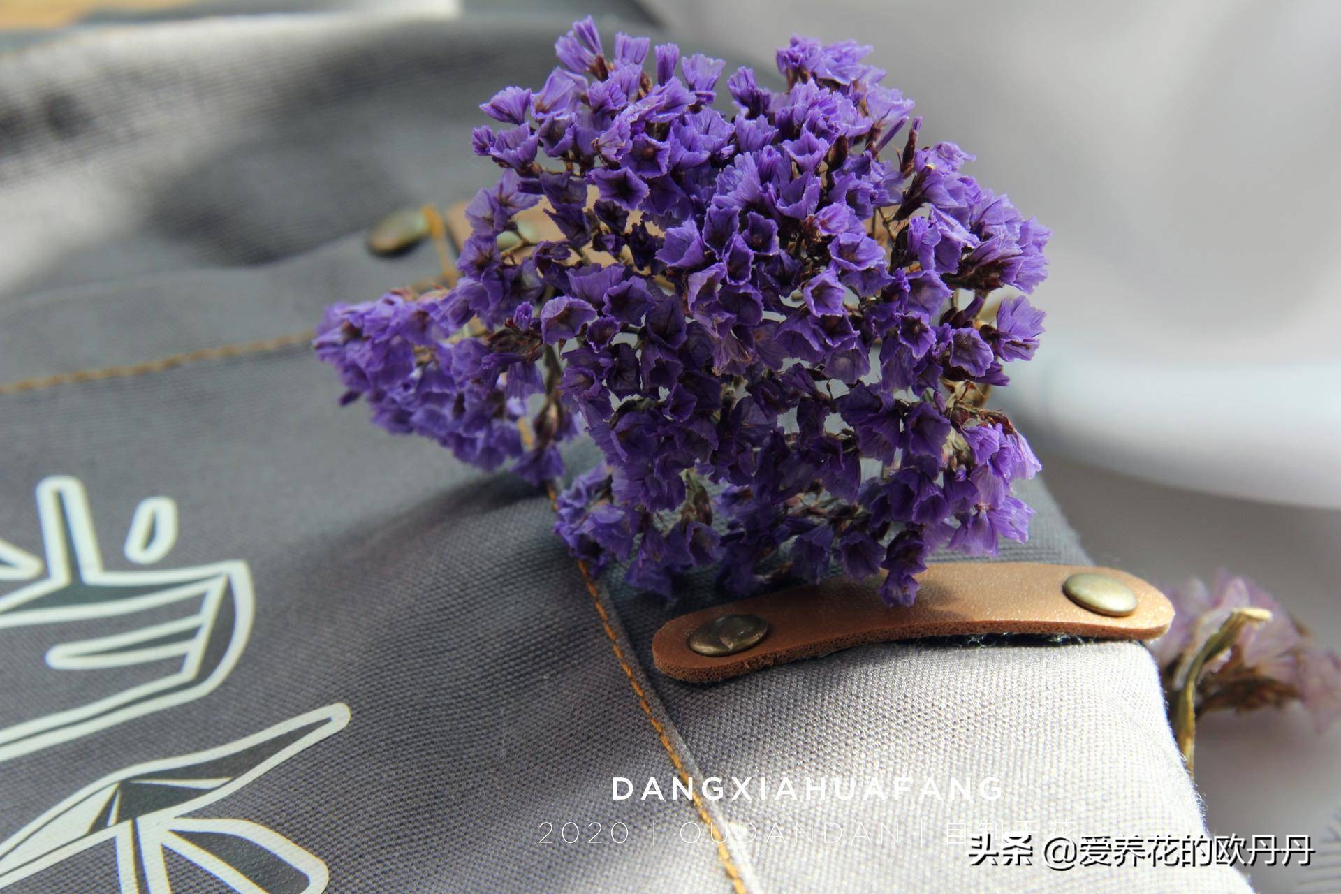 干花diy相框儿童,干花diy相框自制