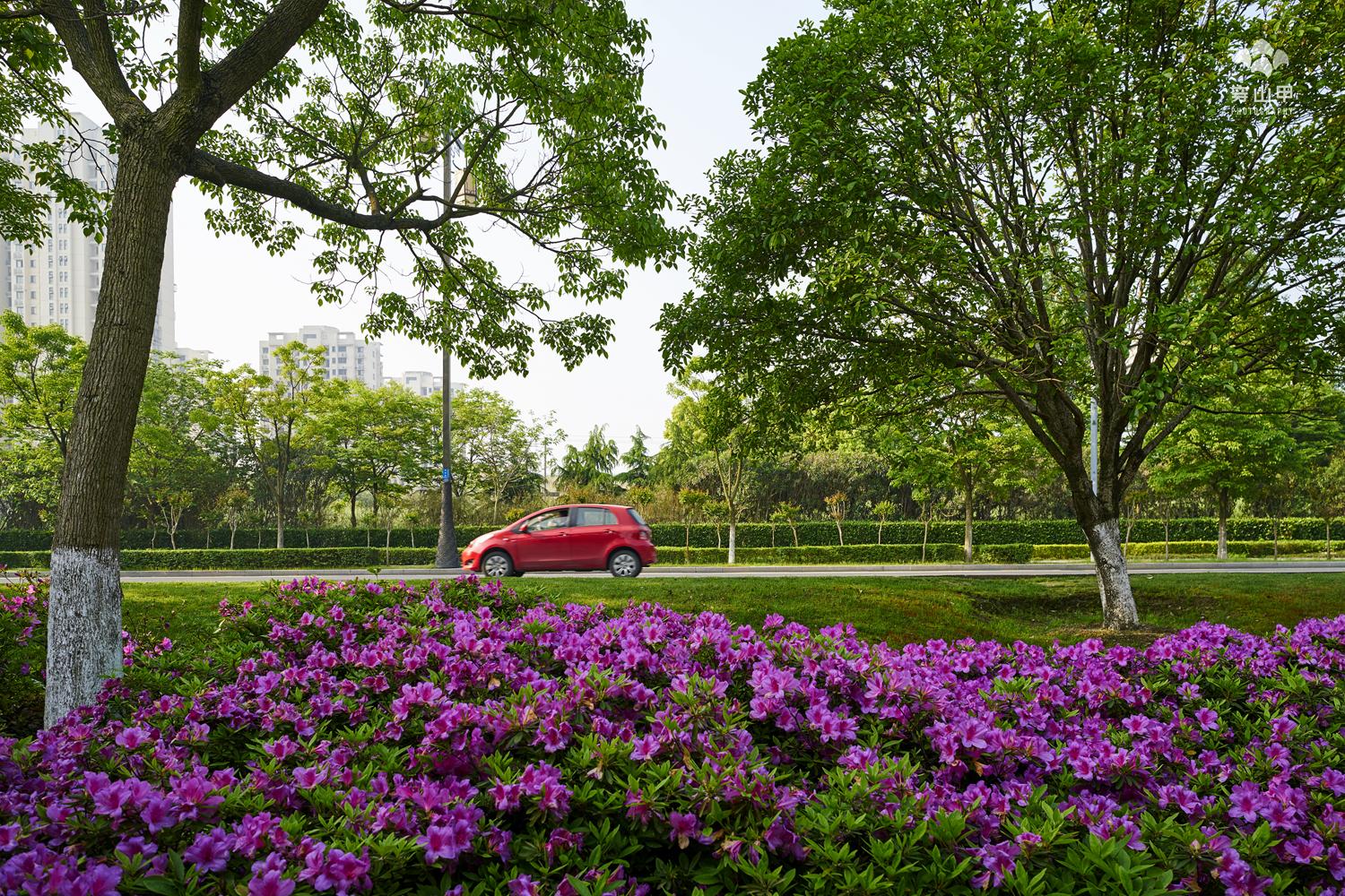 徒步无锡古运河寻找美景,无锡最美沿太湖路线
