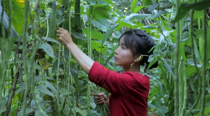 吃了李子柒螺蛳粉拉肚子,李子柒螺蛳粉到底哪个配料臭