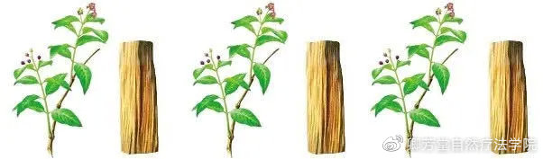 跨过时光的年轮来到你身边，赴一场心灵之约——檀香精油