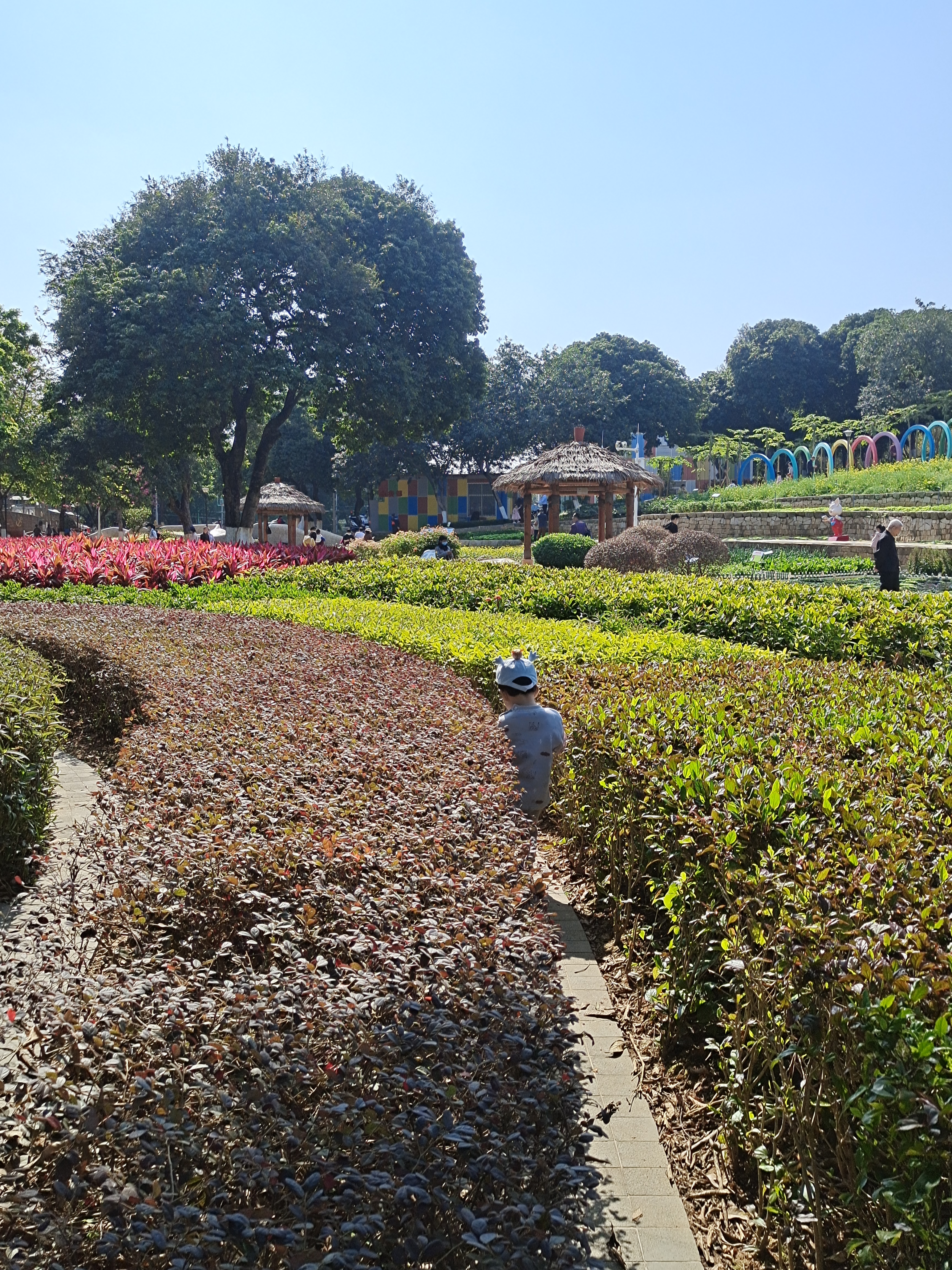 广州儿童公园成亲子乐园,2019广州儿童公园