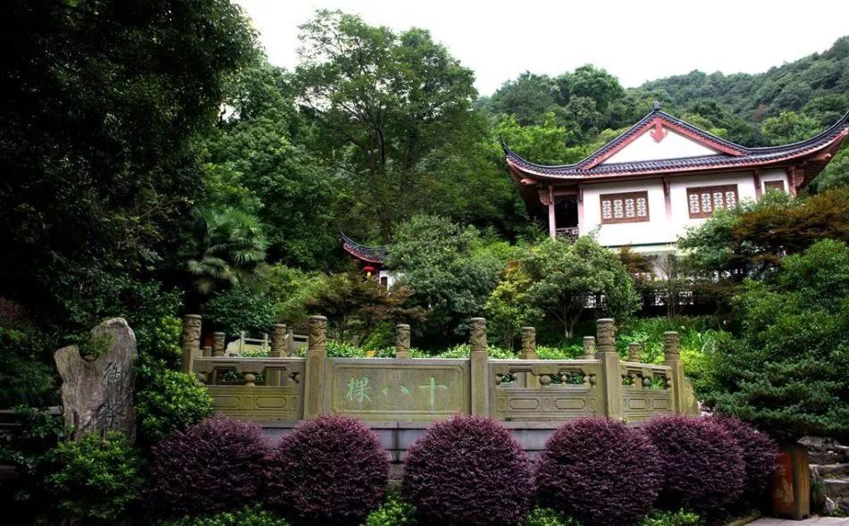 史上最贵茶杯,史上最贵茶具