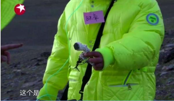 去年关于网络性侵事件 (网传男子直播间性侵初一女生)