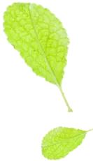 梅雨时节的铁山寺,这里藏着最美的风景