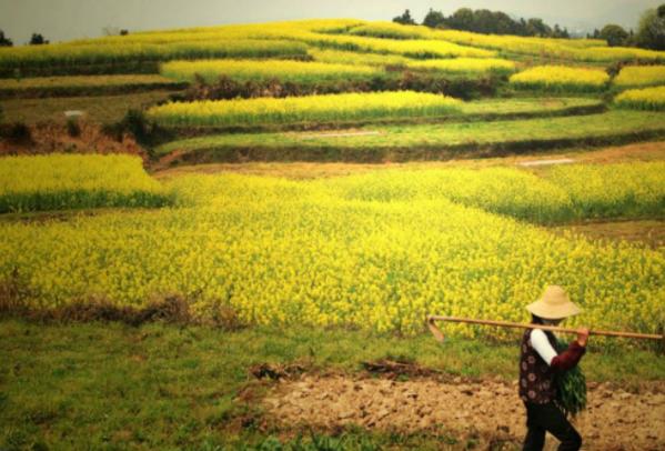 土地流转贷款怎么申请,土地抵押贷款一亩地能贷多少钱