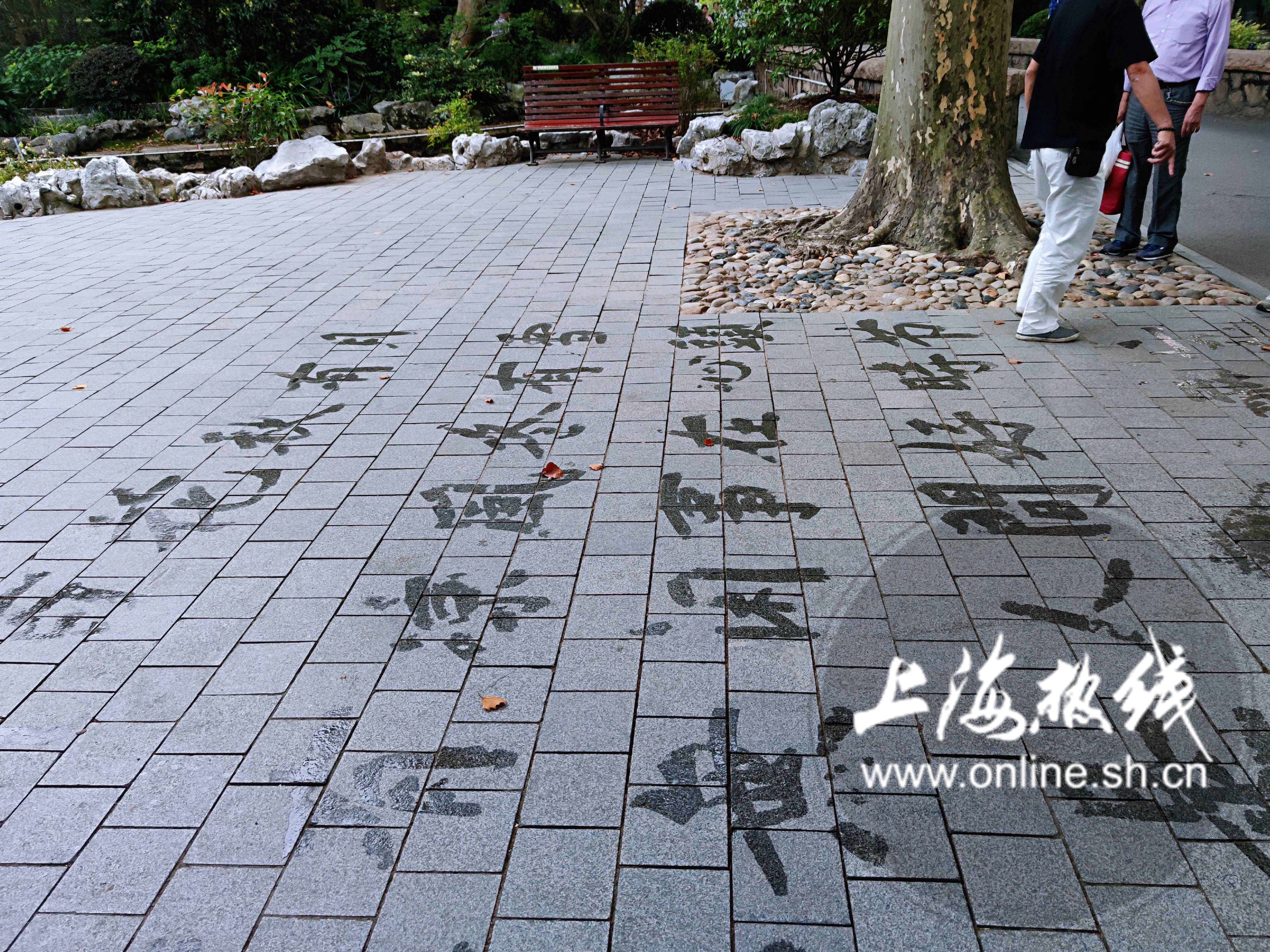 没来这儿都不算文化人?鲁迅常去的老底子“网红”咖啡馆,侬晓得伐