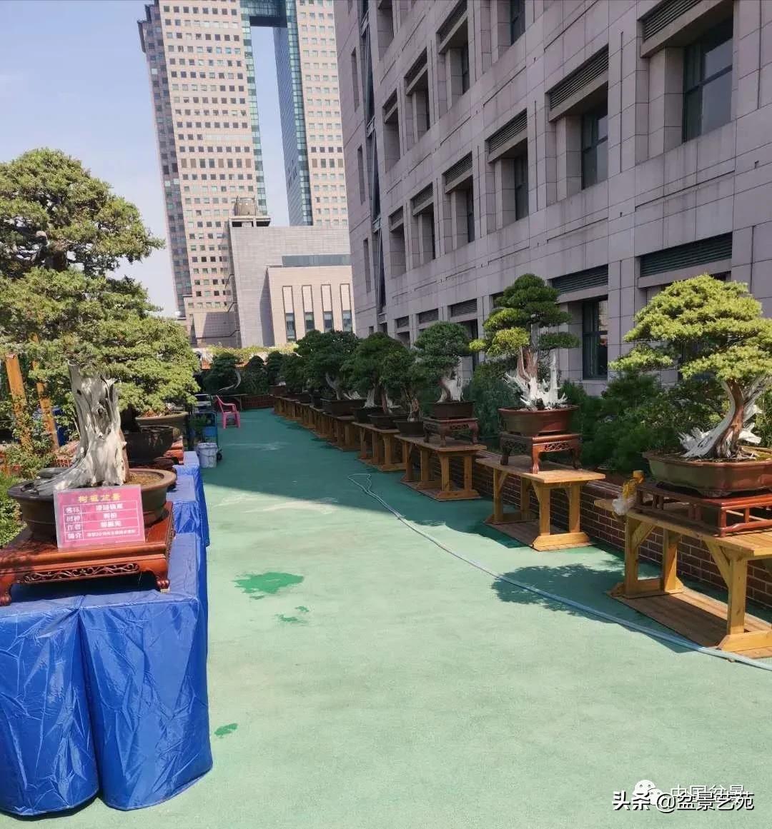 涓浗钁楀悕鐩嗘櫙澶у笀绮惧搧鐩嗘櫙,鐩嗘櫙鑹烘湳瀹跺拰鐩嗘櫙鑹烘湳澶у笀