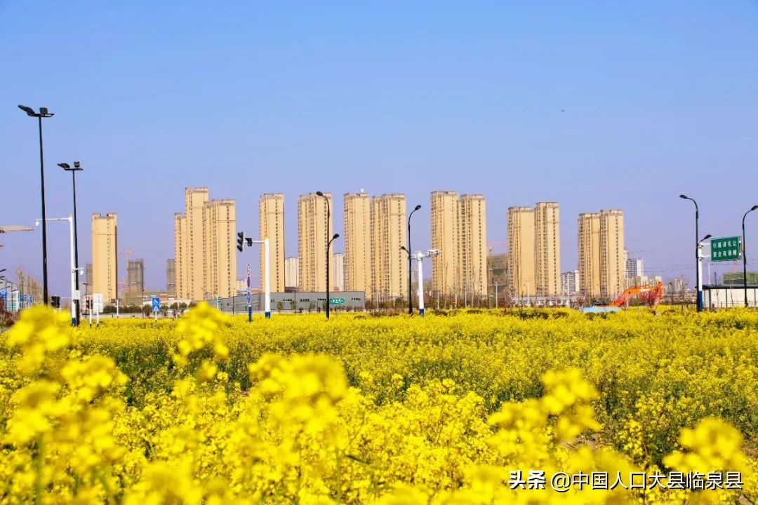 临泉县未来的样子！期待越来越好