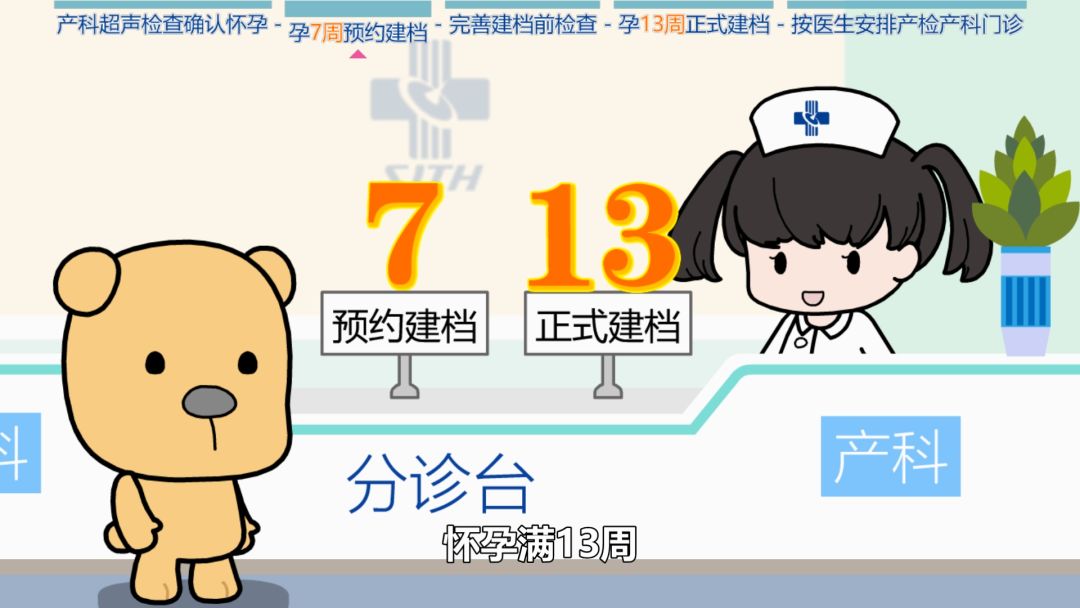 科普怀孕过程纪录片,科普动画怀孕